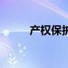 產權保護（關于產權保護的介紹）