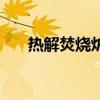 熱解焚燒爐（關于熱解焚燒爐的介紹）