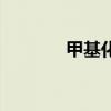 甲基化（關于甲基化的介紹）