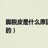 腳脫皮是什么原因造成的不痛不癢（腳脫皮是什么原因造成的）
