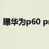 曝華為p60 pro渲染圖 華為P60渲染圖曝光 