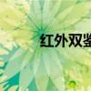 紅外雙鑒（關于紅外雙鑒的介紹）