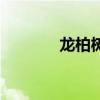 龍柏樹（關于龍柏樹的介紹）