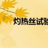 灼熱絲試驗（關于灼熱絲試驗的介紹）