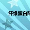 纖維蛋白酶（關于纖維蛋白酶的介紹）