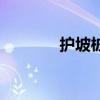護坡樁（關于護坡樁的介紹）