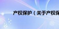 產權保護(關于產權保護的介紹)