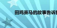 田雞賽馬的故事告訴我們什么?