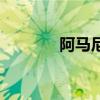 阿馬尼（關于阿馬尼的介紹）