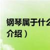 鋼琴屬于什么樂器（關于鋼琴屬于什么樂器的介紹）