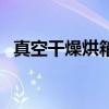 真空干燥烘箱（關于真空干燥烘箱的介紹）