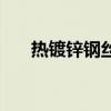 熱鍍鋅鋼絲（關于熱鍍鋅鋼絲的介紹）