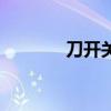 刀開關（關于刀開關的介紹）
