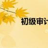 初級審計（關于初級審計的介紹）