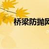 橋梁防拋網（關于橋梁防拋網的介紹）