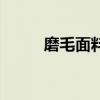 磨毛面料（關于磨毛面料的介紹）