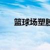 籃球場塑膠（關于籃球場塑膠的介紹）