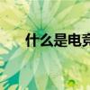 什么是電競（關于什么是電競的介紹）