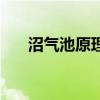 沼氣池原理（關于沼氣池原理的介紹）
