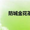 防城金花茶（關于防城金花茶的介紹）