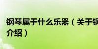 鋼琴屬于什么樂器(關于鋼琴屬于什么樂器的介紹)