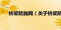 橋梁防拋網(關于橋梁防拋網的介紹)