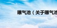 曝氣池(關于曝氣池的介紹)