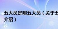 五大員是哪五大員(關于五大員是哪五大員的介紹)