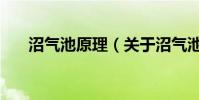 沼氣池原理(關于沼氣池原理的介紹)