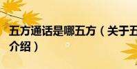 五方通話是哪五方(關于五方通話是哪五方的介紹)