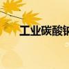 工業碳酸鈉（關于工業碳酸鈉的介紹）