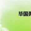 畢國勇（關于畢國勇的介紹）