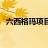六西格瑪項目（關于六西格瑪項目的介紹）