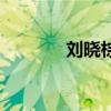 劉曉棕（關于劉曉棕的介紹）