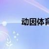 動因體育（關于動因體育的介紹）