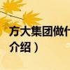 方大集團做什么的（關于方大集團做什么的的介紹）