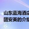 山東藍海酒店集團安英（關于山東藍海酒店集團安英的介紹）