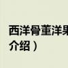 西洋骨董洋果子店（關于西洋骨董洋果子店的介紹）