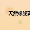 天然螺旋藻（關于天然螺旋藻的介紹）