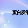 蛋白質組（關于蛋白質組的介紹）