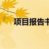 項目報告書（關于項目報告書的介紹）
