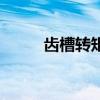齒槽轉矩（關于齒槽轉矩的介紹）