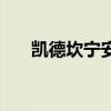 凱德坎寧安（關于凱德坎寧安的介紹）