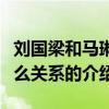 劉國梁和馬琳什么關系（關于劉國梁和馬琳什么關系的介紹）