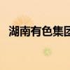 湖南有色集團（關于湖南有色集團的介紹）