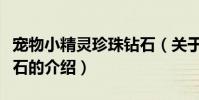 寵物小精靈珍珠鉆石(關于寵物小精靈珍珠鉆石的介紹)