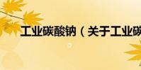 工業碳酸鈉(關于工業碳酸鈉的介紹)