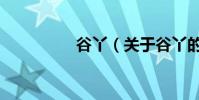 谷丫(關于谷丫的介紹)