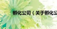 孵化公司(關于孵化公司的介紹)