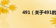 491(關于491的介紹)